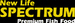 NLspectrum_logo75p