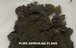 PSF1_75p