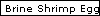 Brine Shrimp Eggs