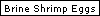 Brine Shrimp Eggs
