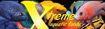 Xtreme-logo-150p